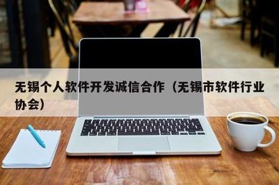 无锡个人软件开发 诚信合作与专业外包服务的典范